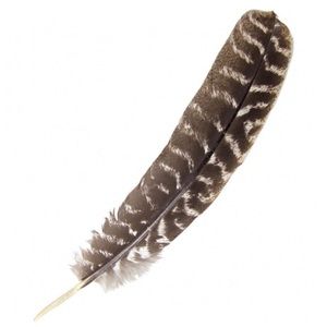 Perfect hat or smudging feather beautiful color real Turkey feather 11” length